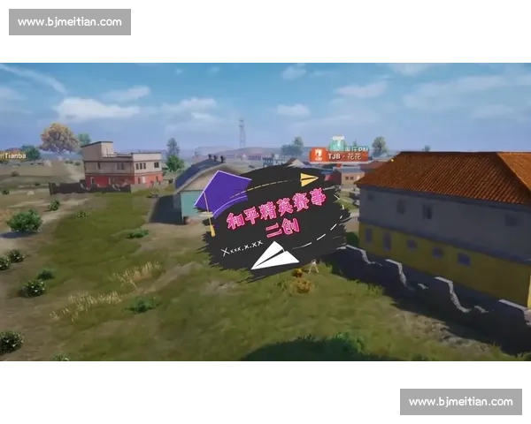 和平精英的赛事解读，专家视角带你领略高阶对决