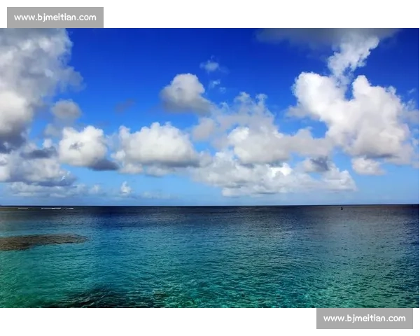 谁能成为下一个传奇大洋洲球队的期待 谁能成为下一个传奇大洋洲球队的期待