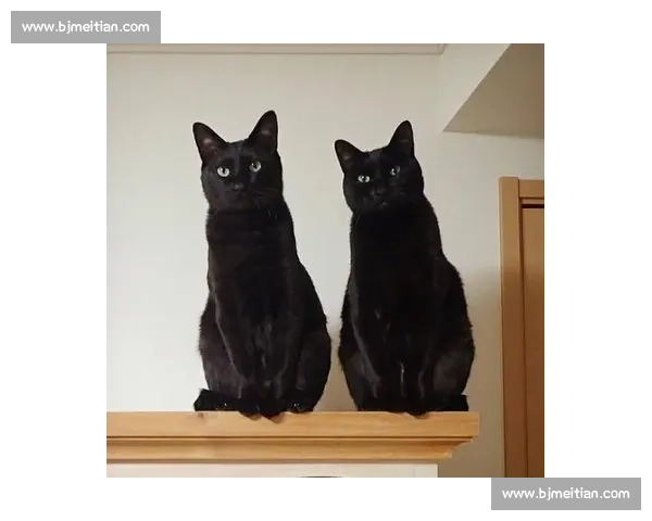 幕后英雄!赛事工作人员的爆笑日常,太可爱了! 幕后英雄!赛事工作人员的爆笑日常,太可爱了!